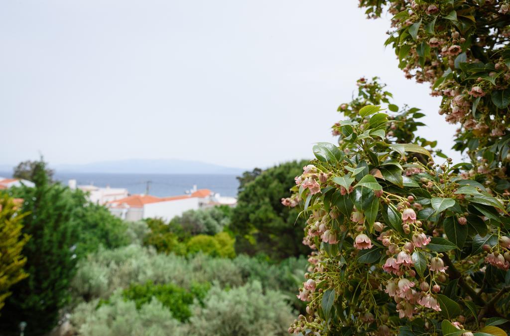 Kyveli Hotel Apartments Vrontádos Exteriör bild