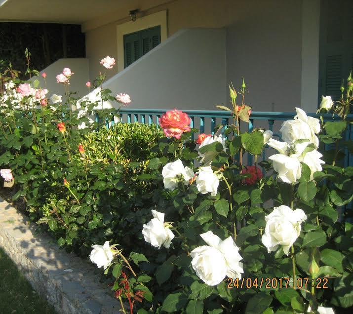 Kyveli Hotel Apartments Vrontádos Exteriör bild